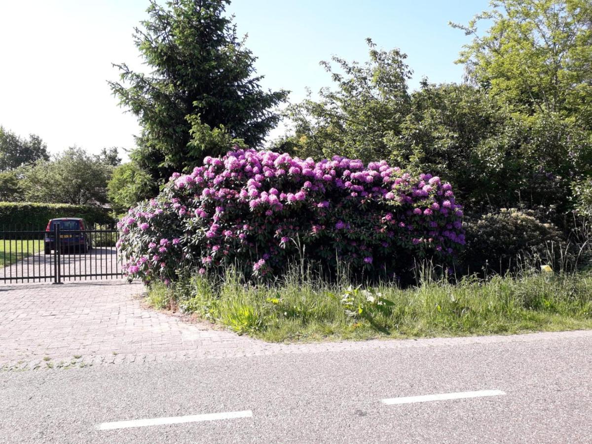 Natuurlijk Apartment